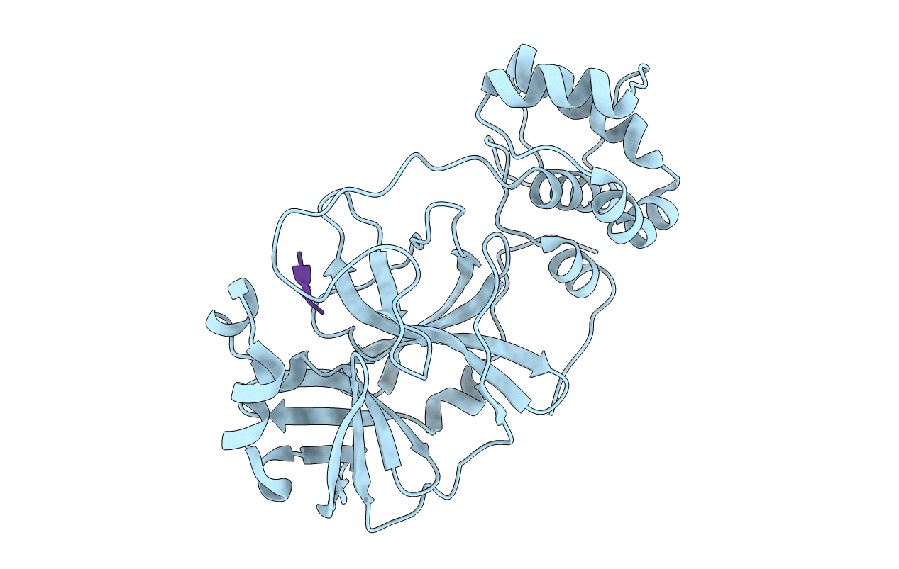 6XCH image