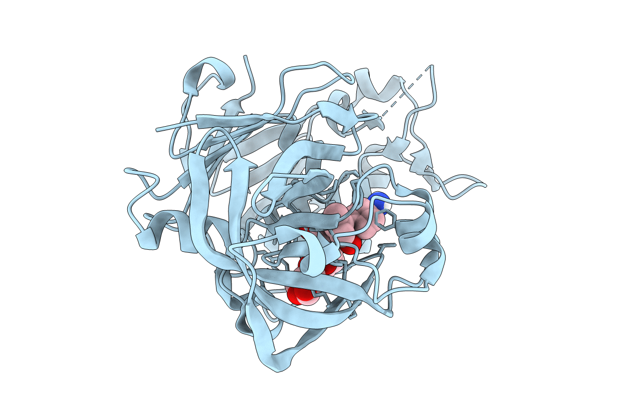 6XD2 image