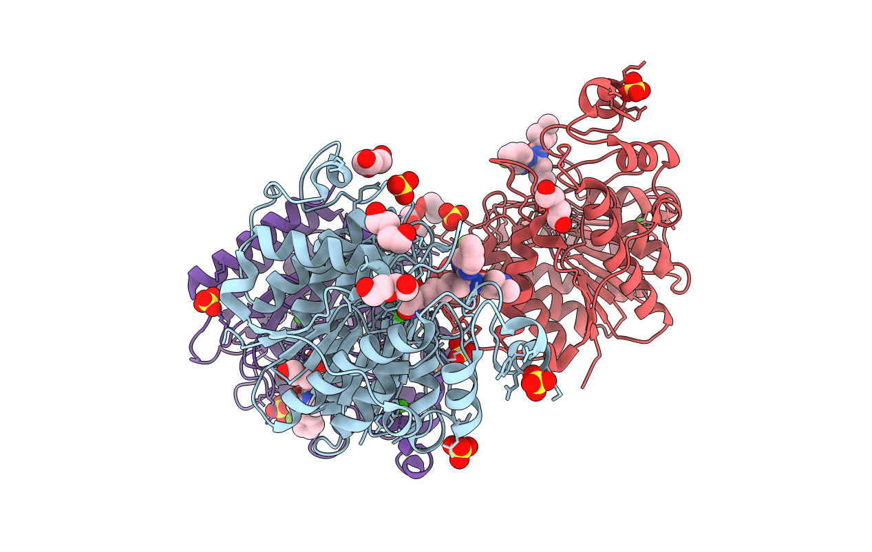 6XDM image