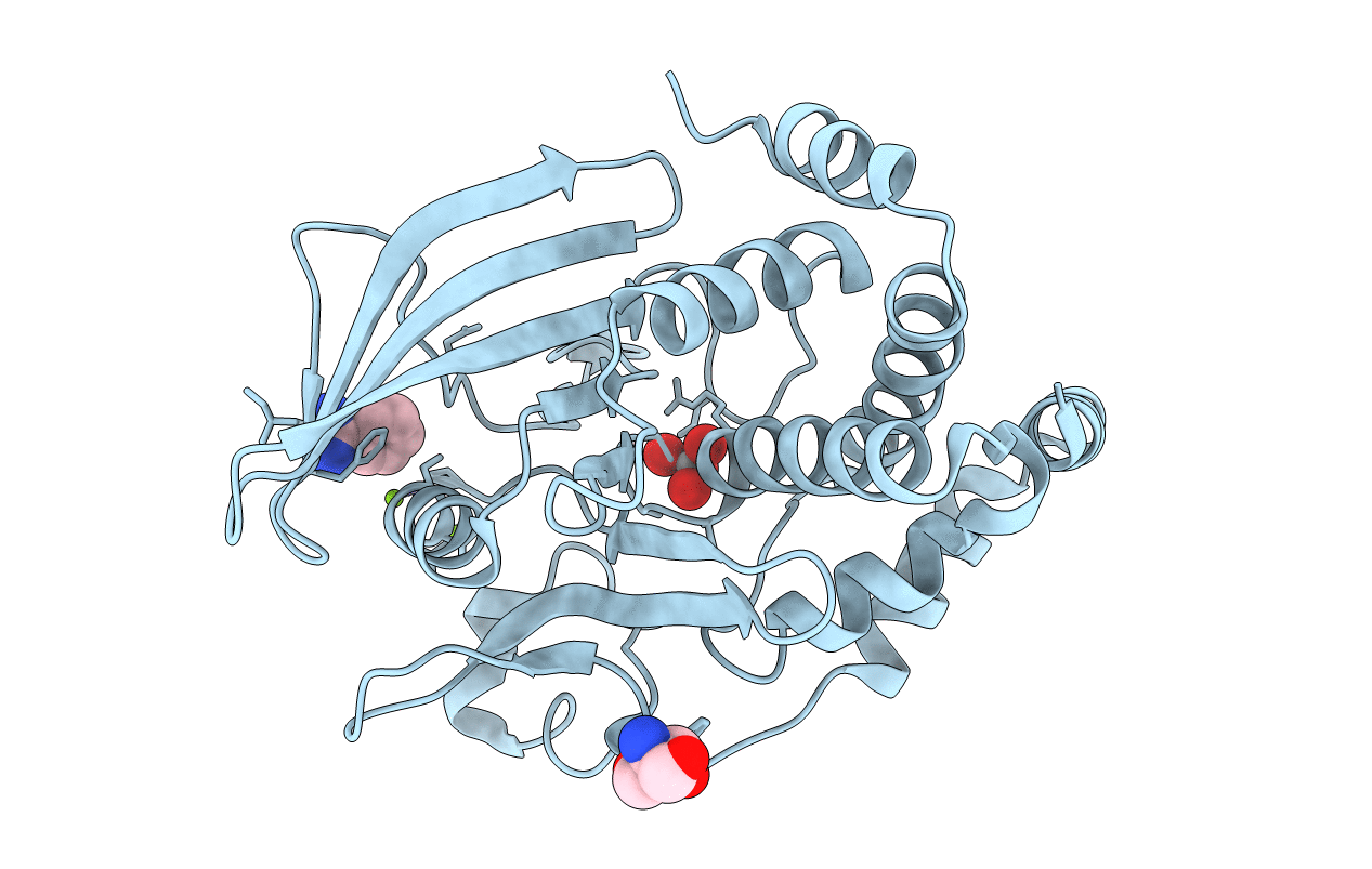6XEF image
