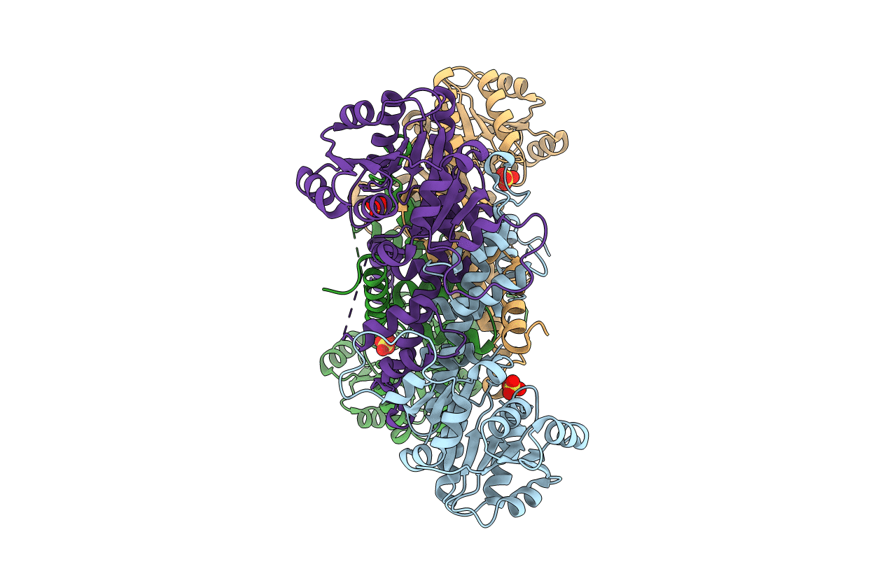 6XEQ image