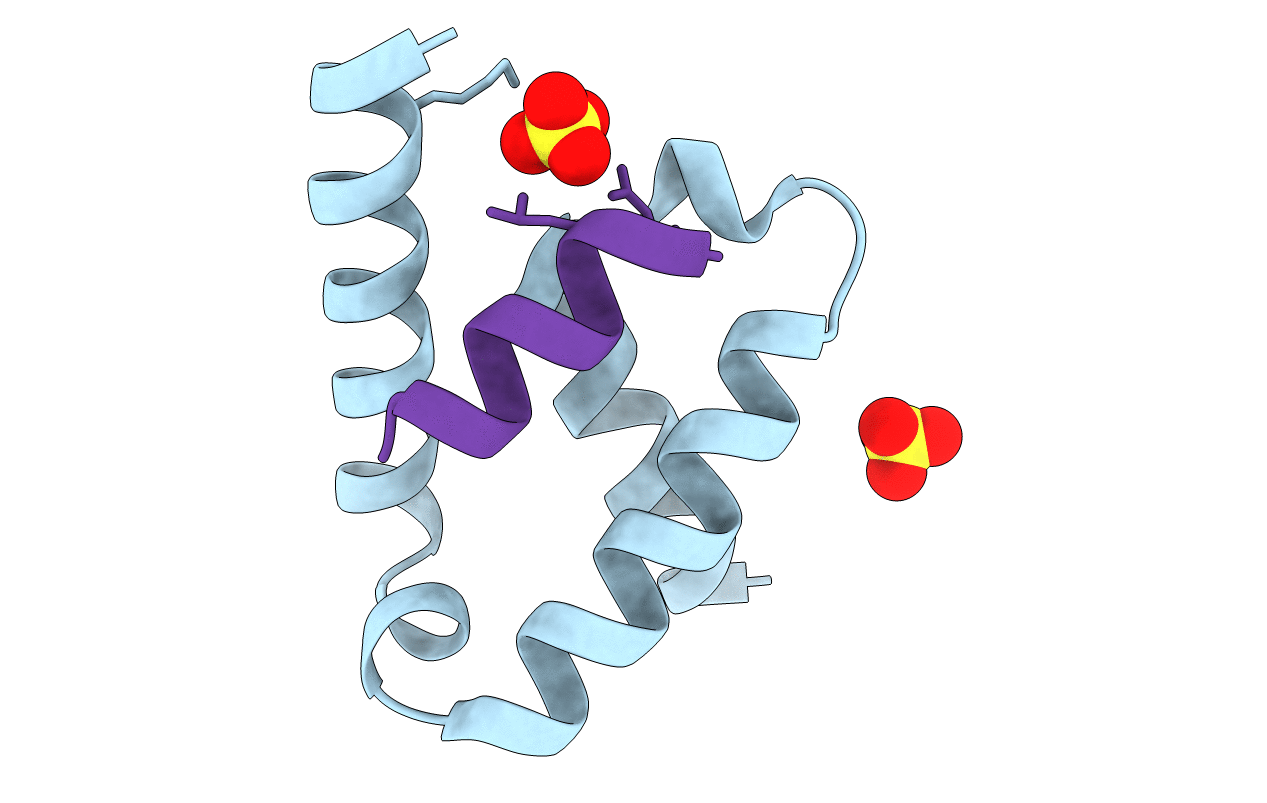 6XFK image