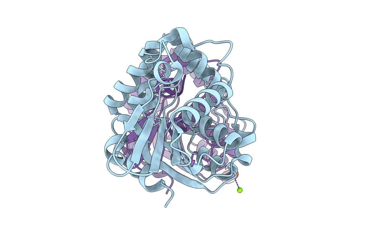 6XFO image