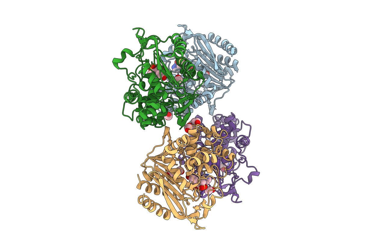 6XFS image