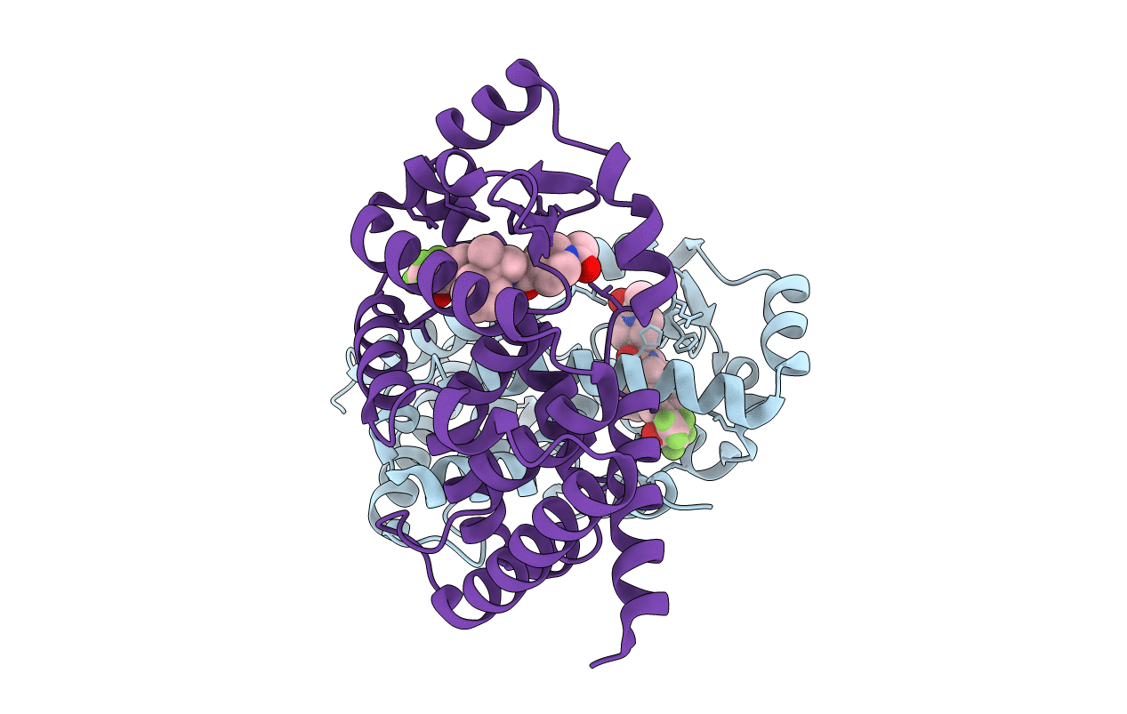 6XFV image