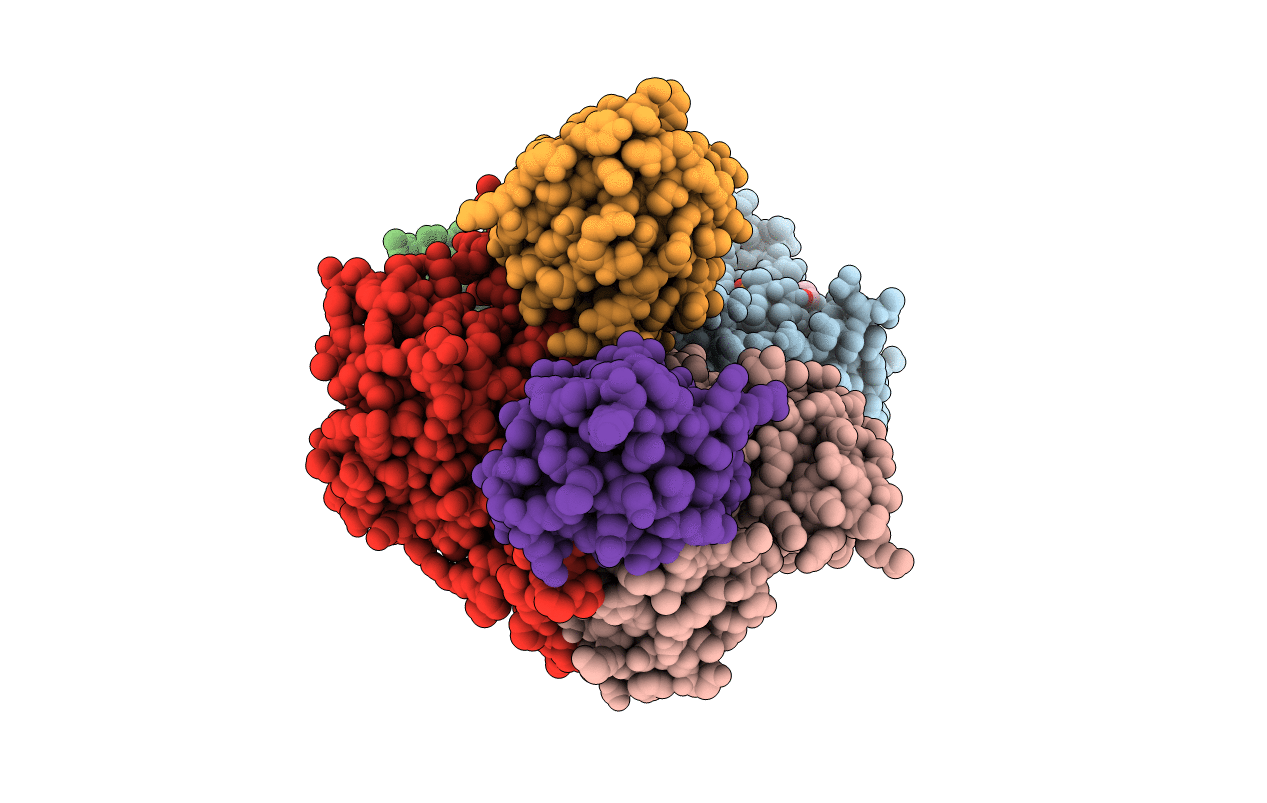 6XGZ image