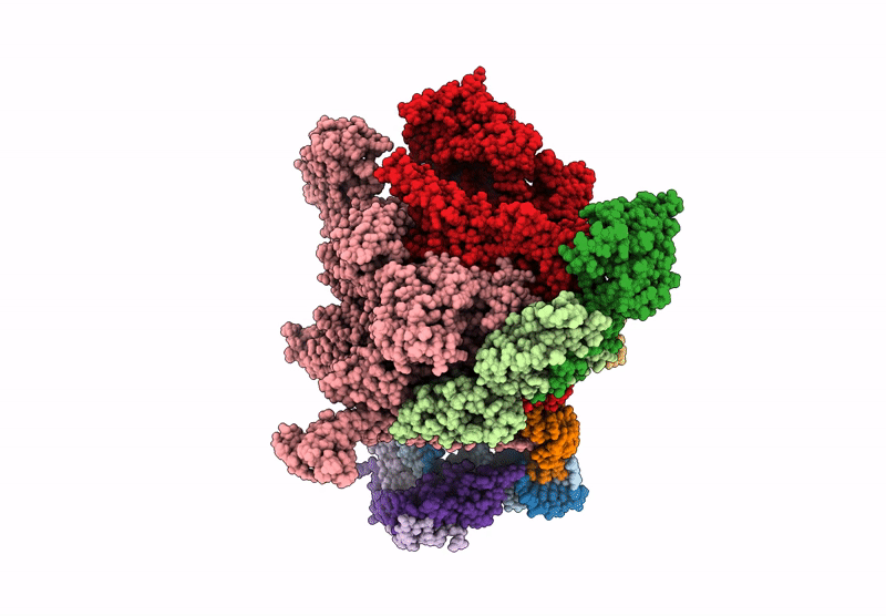 6XH7 image