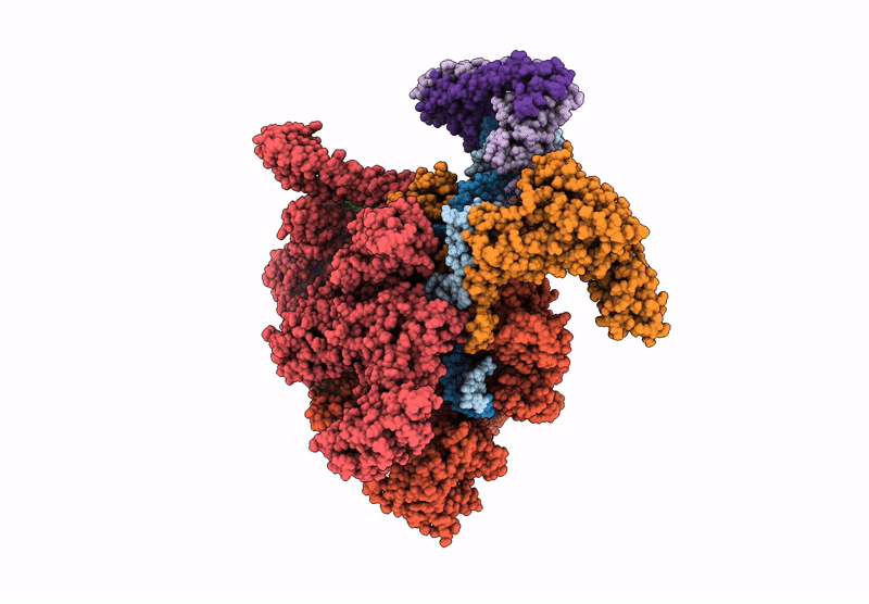 6XH8 image