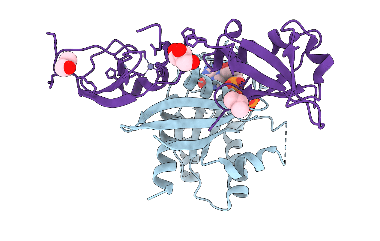 6XHB image
