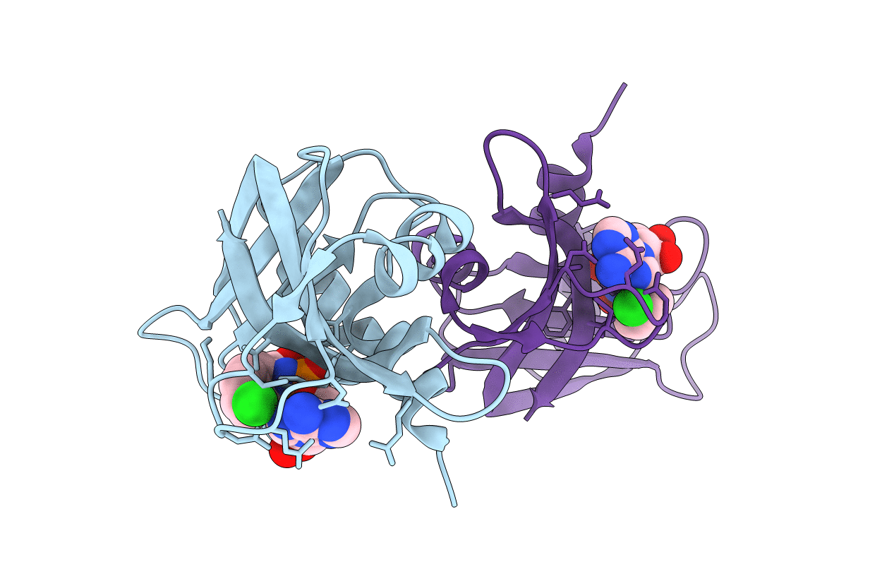 6XHF image