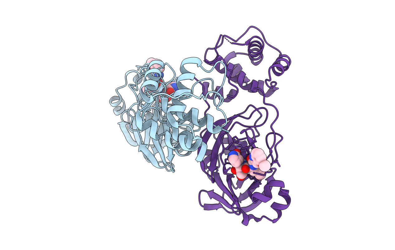 6XHL image