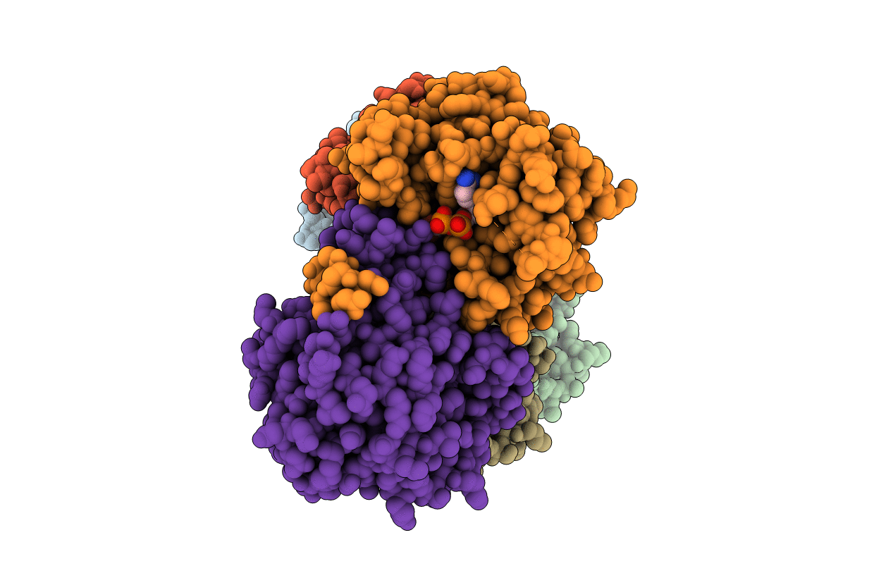 6XHT image