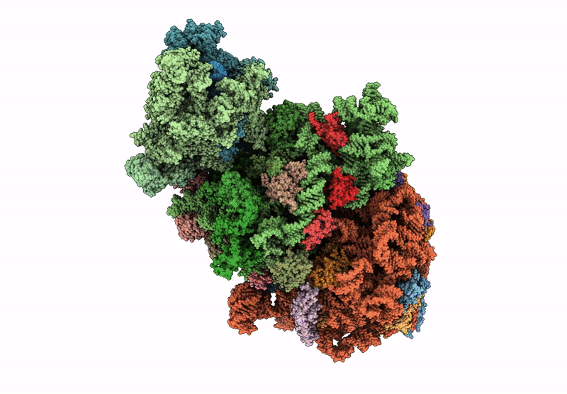 6XIJ image