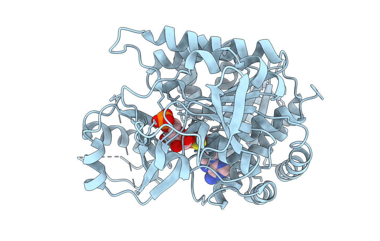 6XIO image