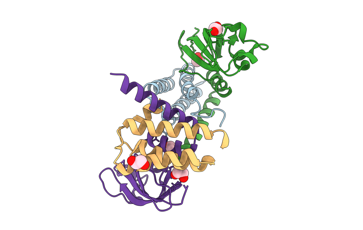 6XIP image