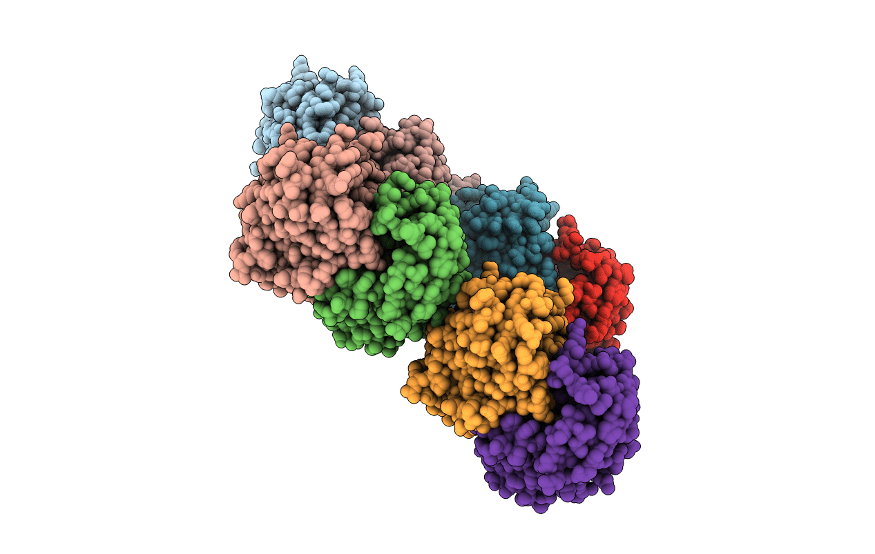 6XIX image
