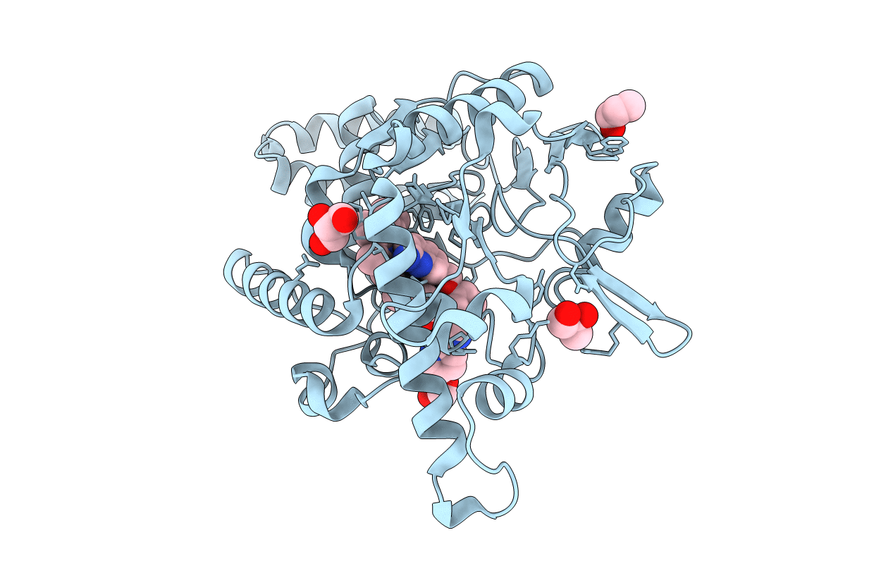 6XK3 image