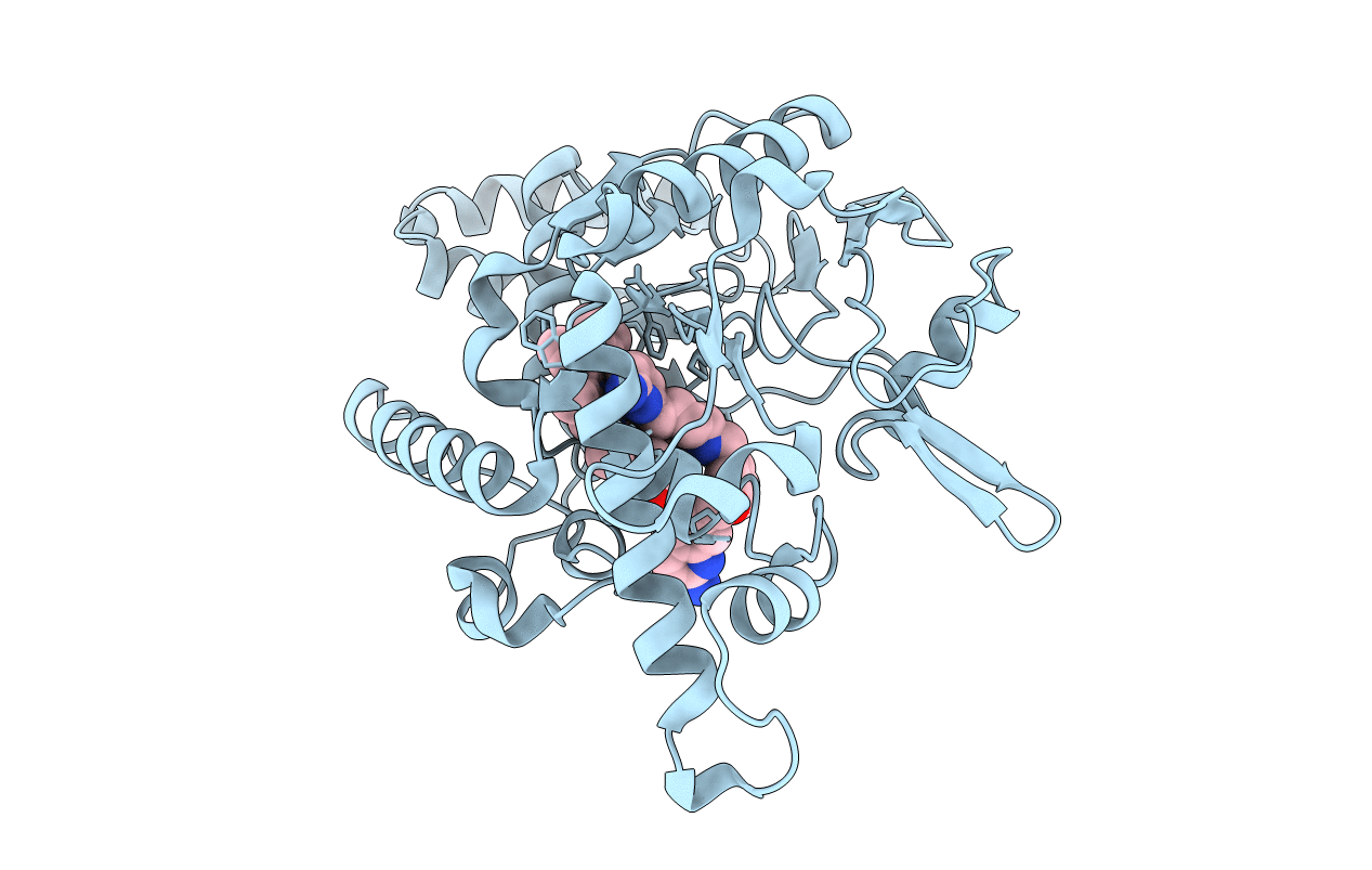 6XK4 image