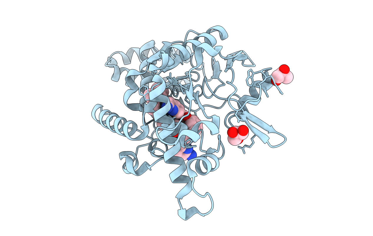 6XK5 image