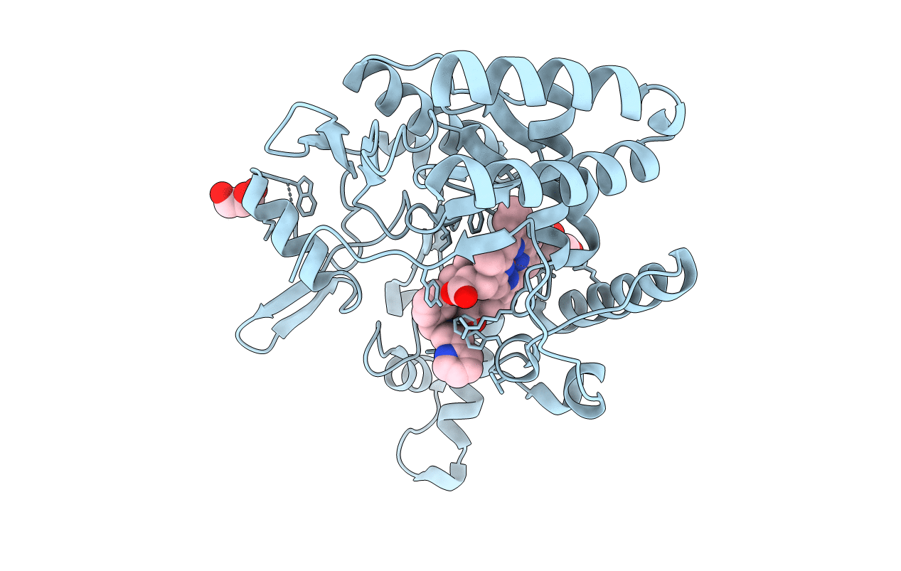 6XK6 image