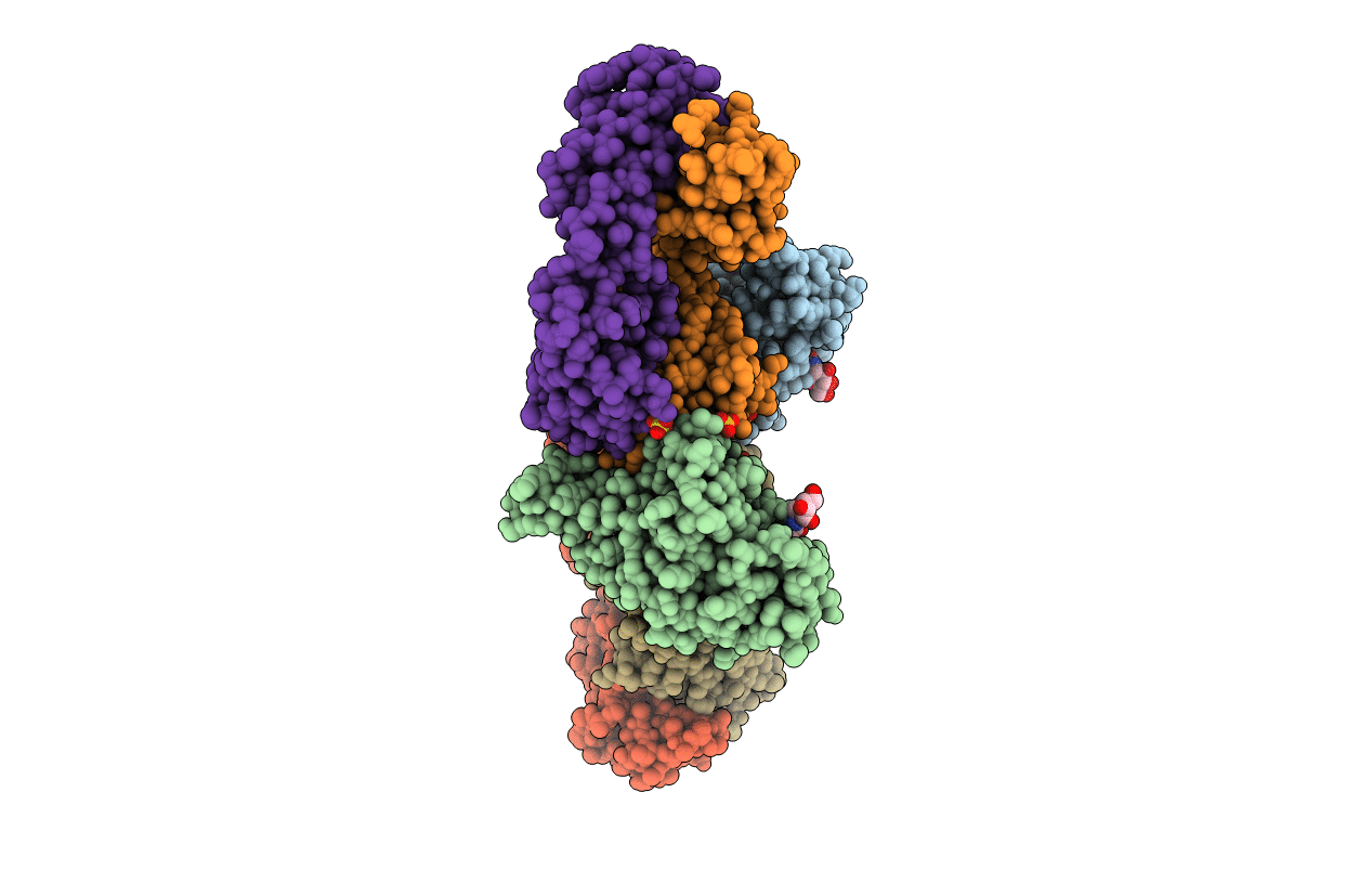6XKP image