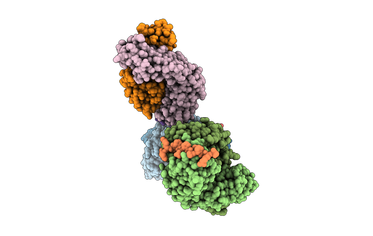 6XLI image