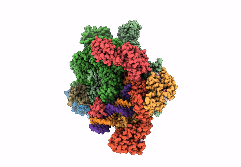 6XLJ image