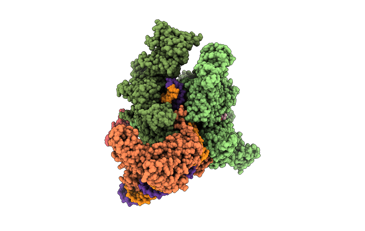6XLL image