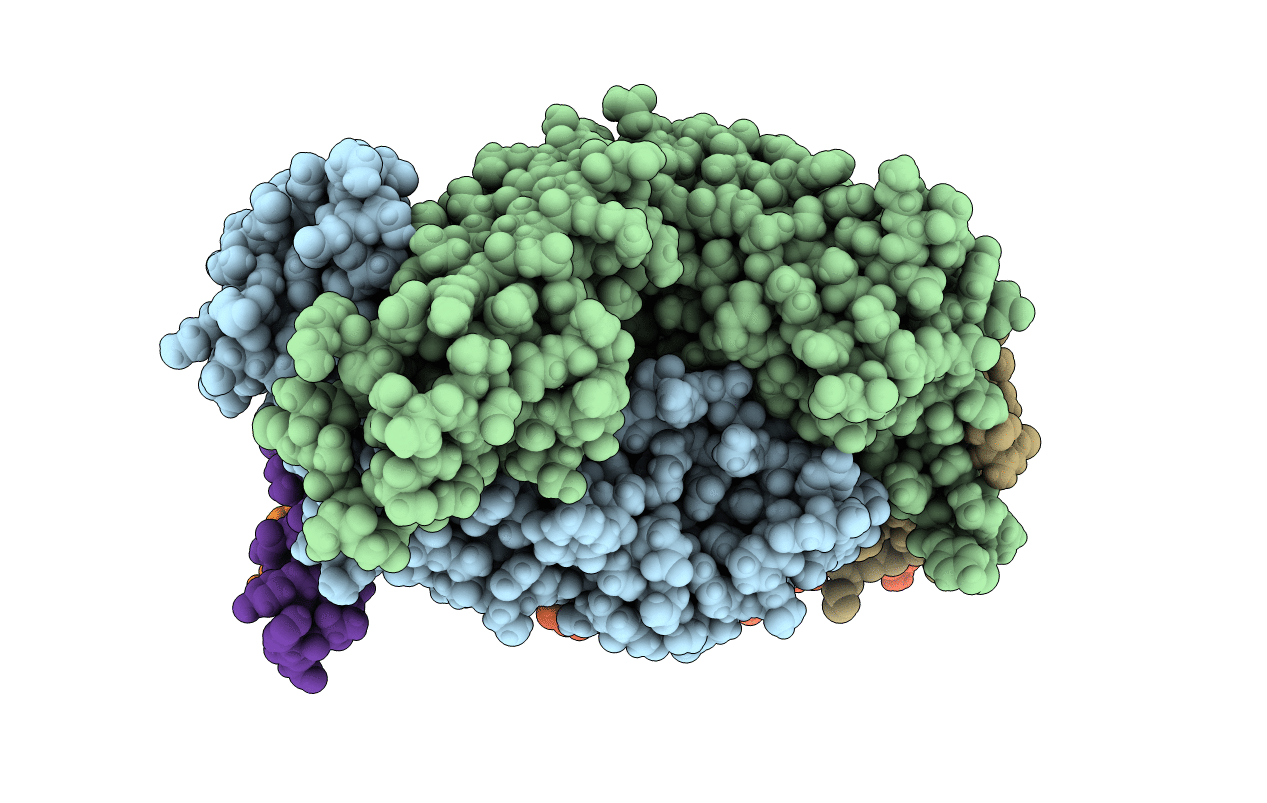 6XMI image