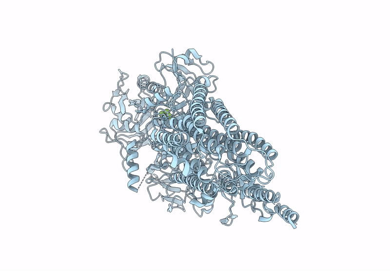 6XMS image