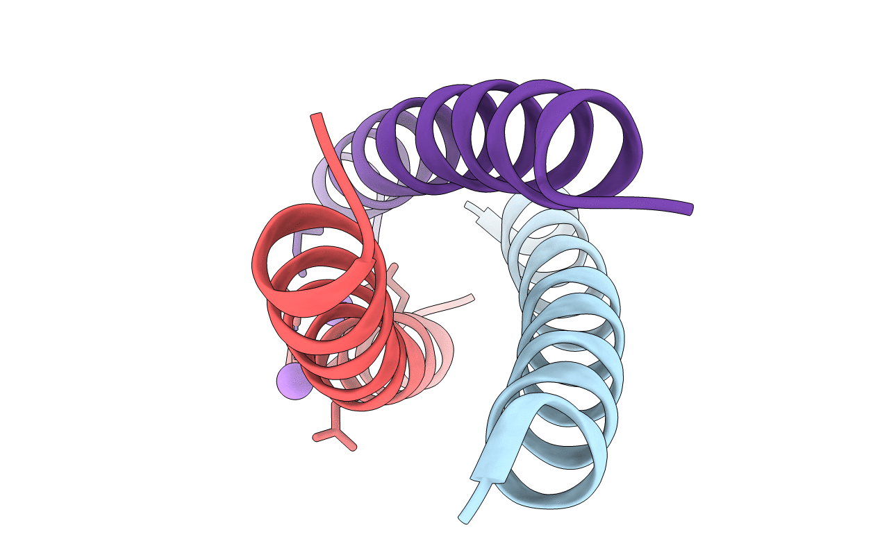 6XNL image