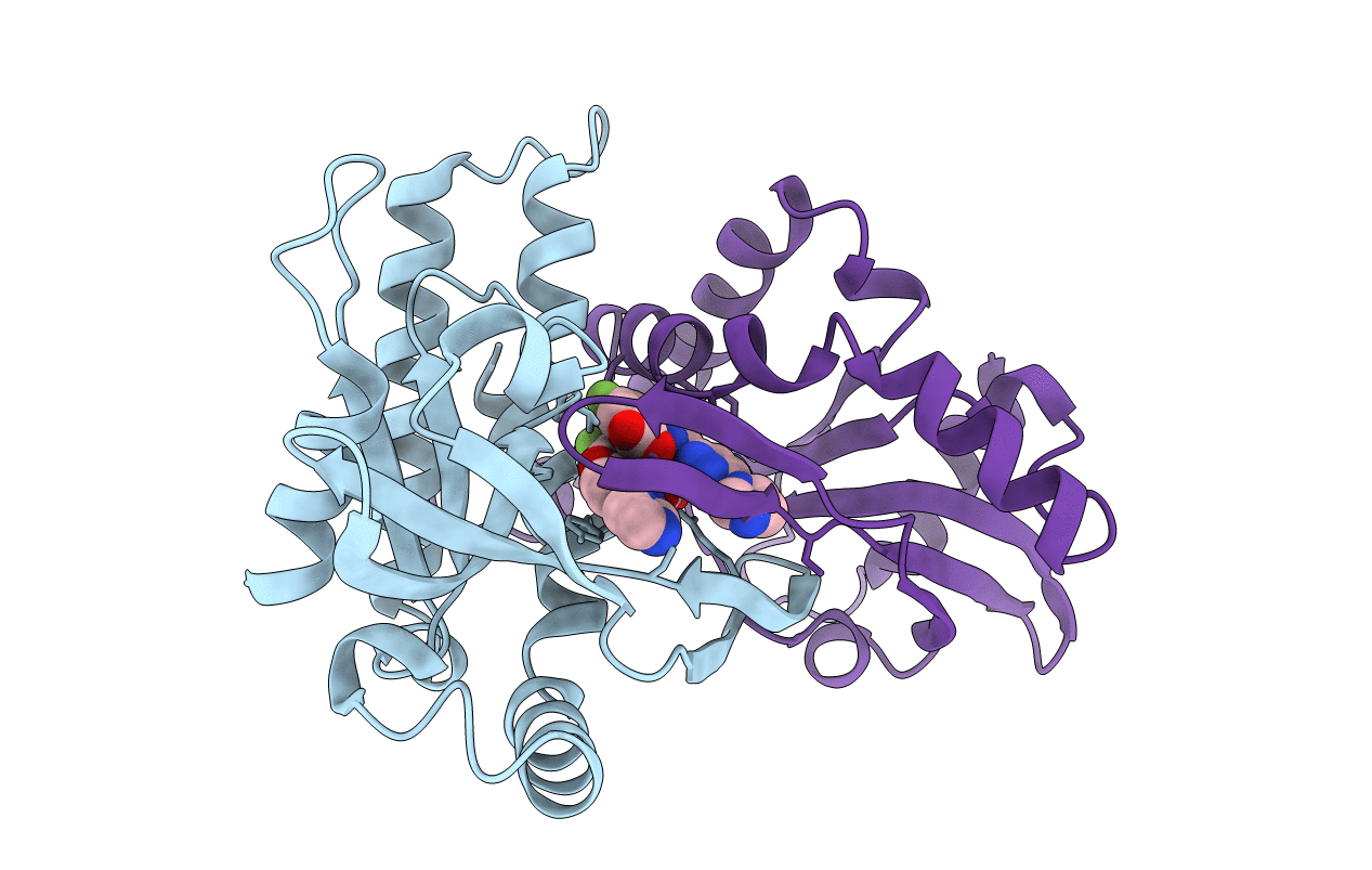 6XNN image