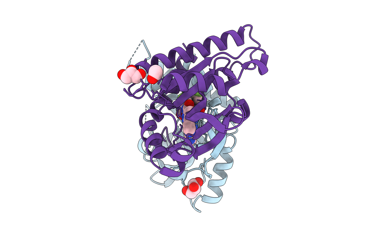 6XNP image