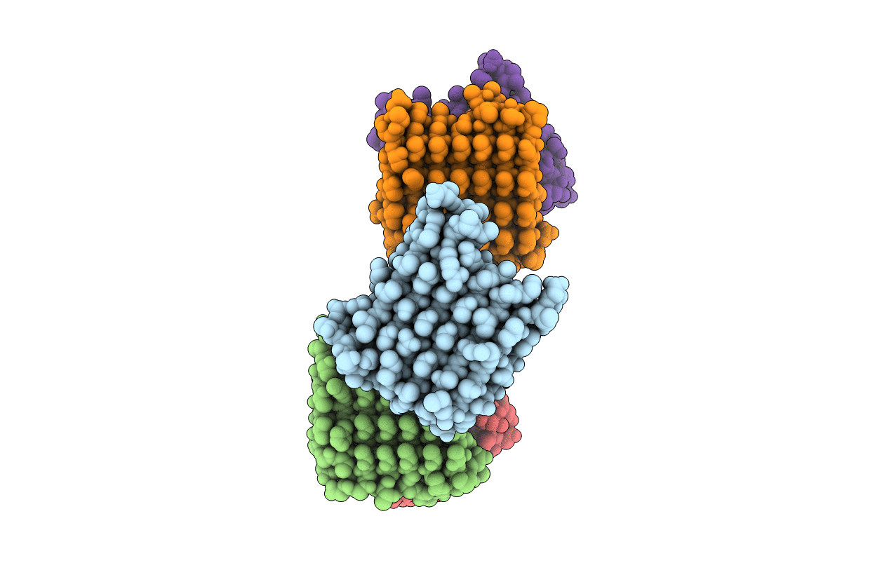 6XNR image