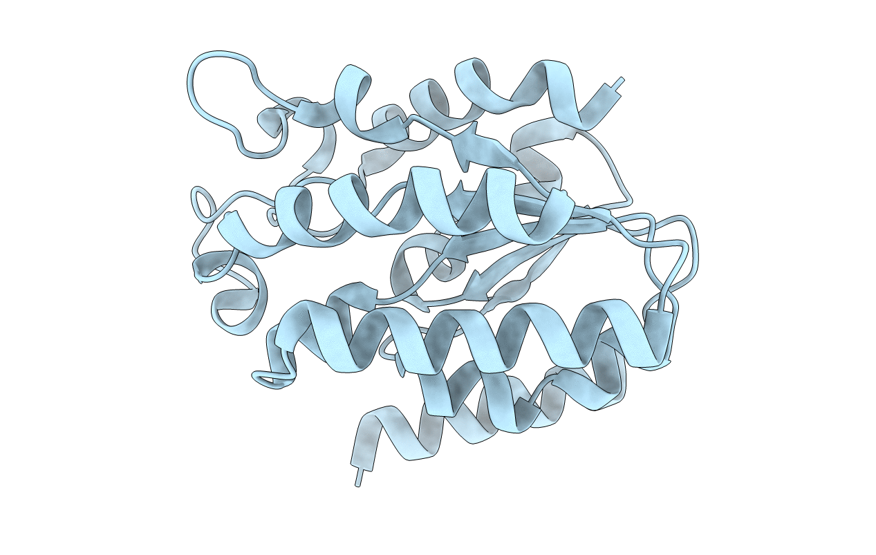 6XPG image