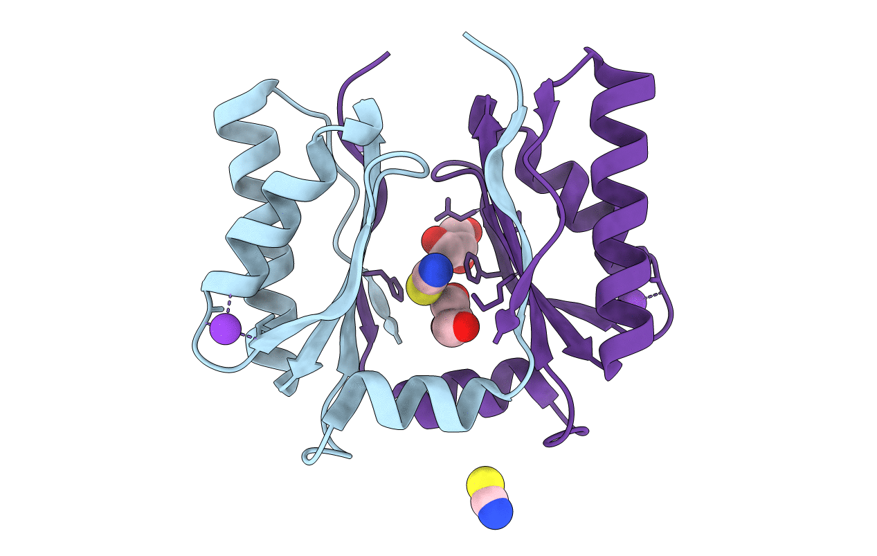 6XPH image