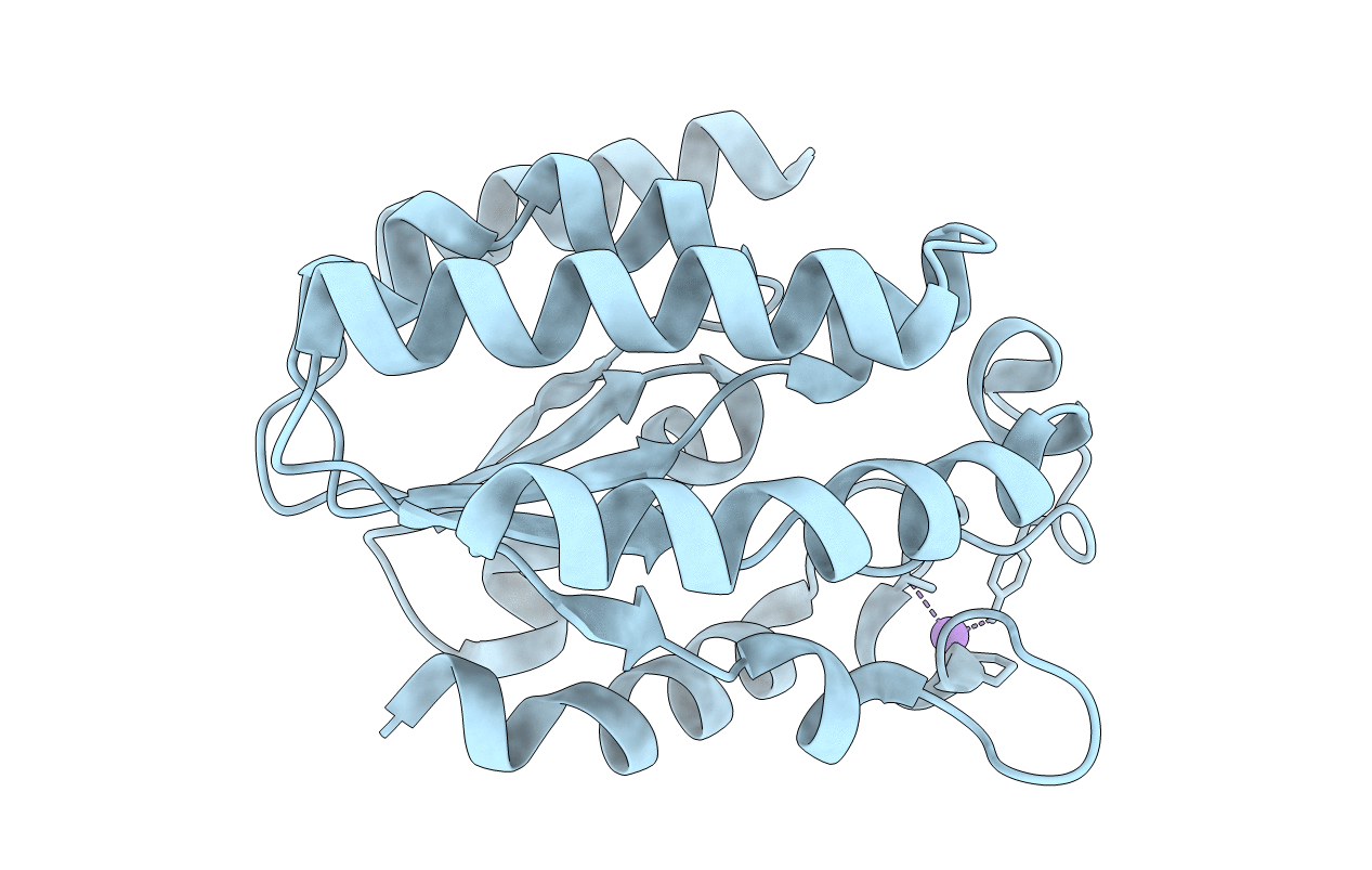 6XPM image