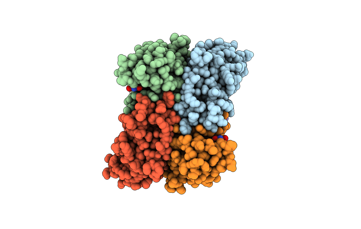 6XPT image