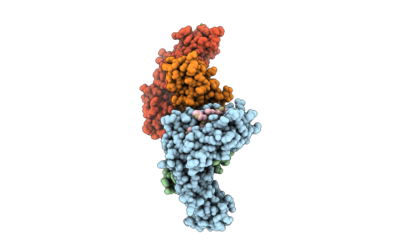 6XQA image