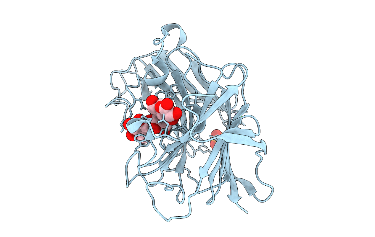 6XQM image