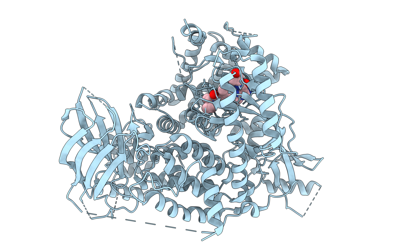 6XRN image