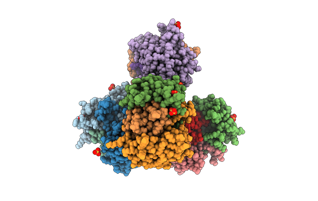 6XRR image