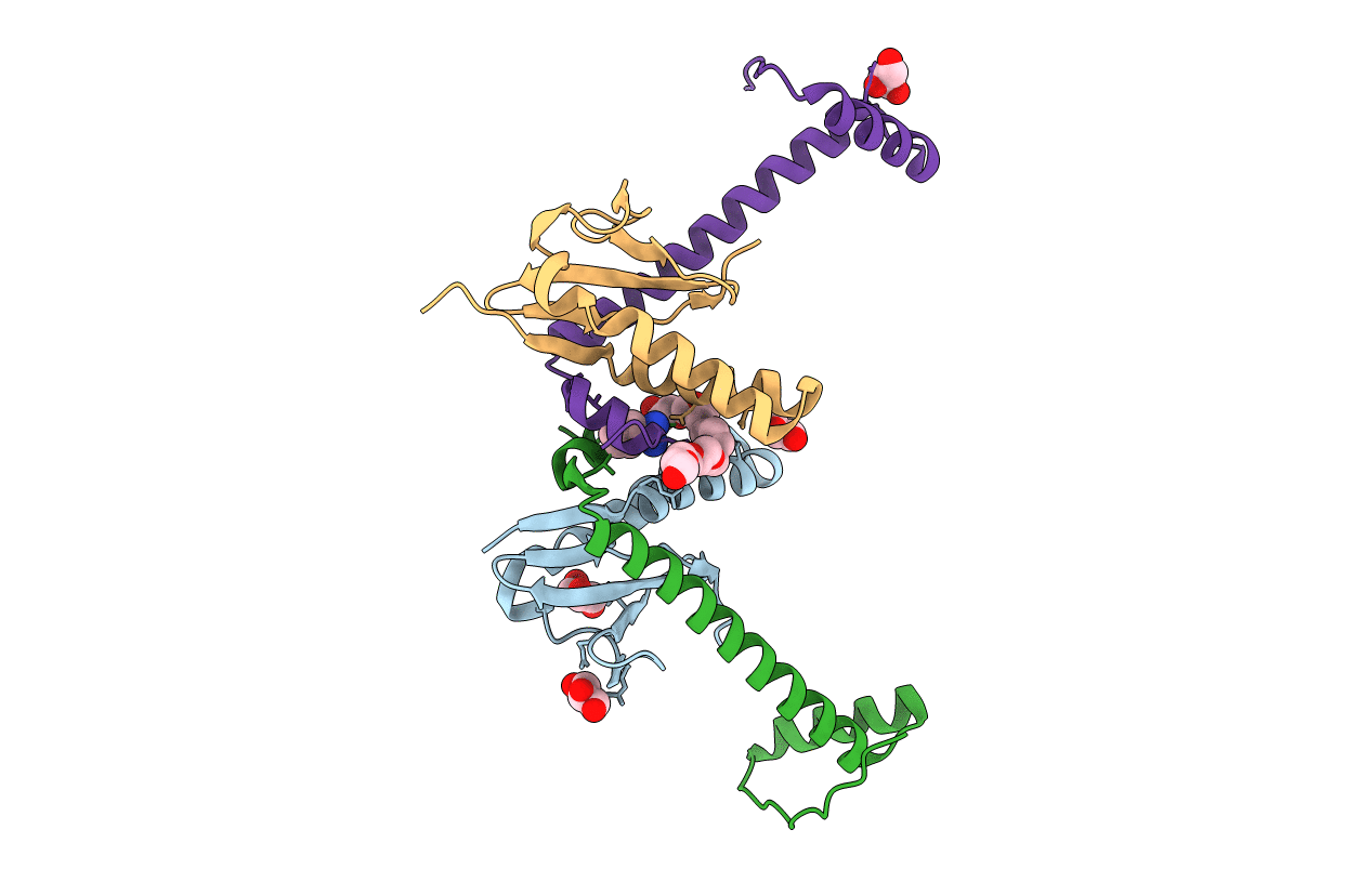 6XRW image