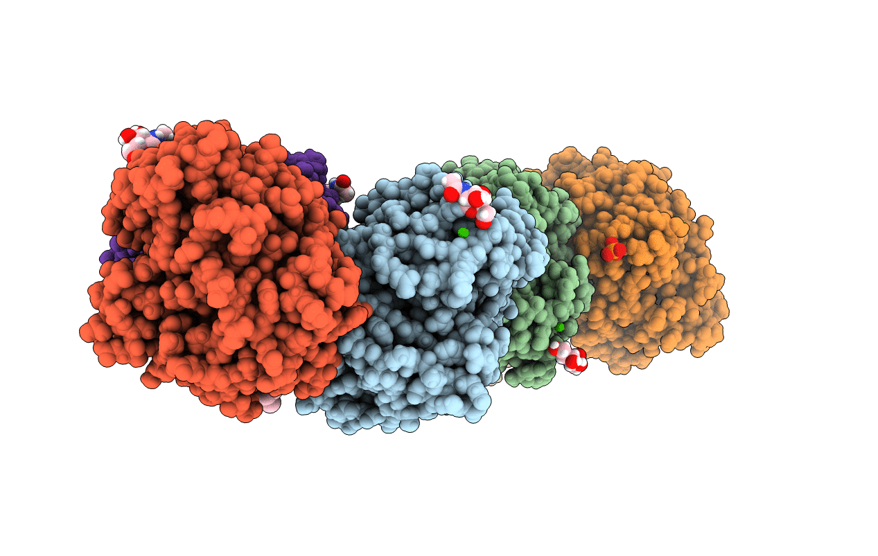 6XS3 image