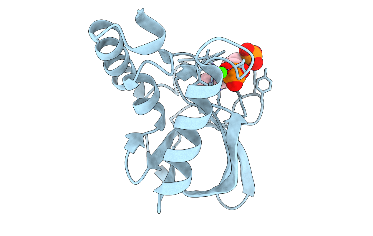 6XSC image