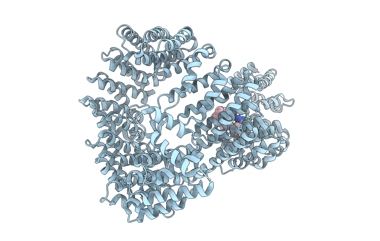 6XTE image