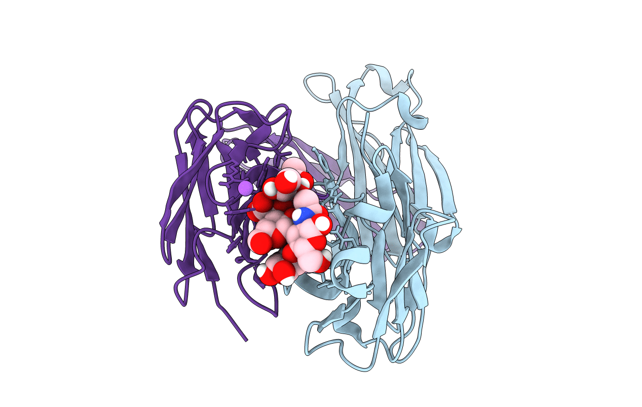 6XTG image