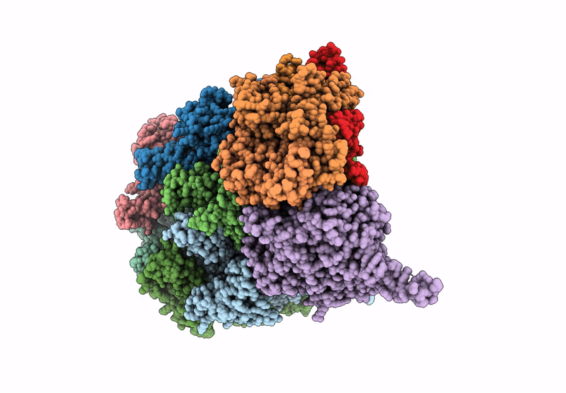 6XTX image