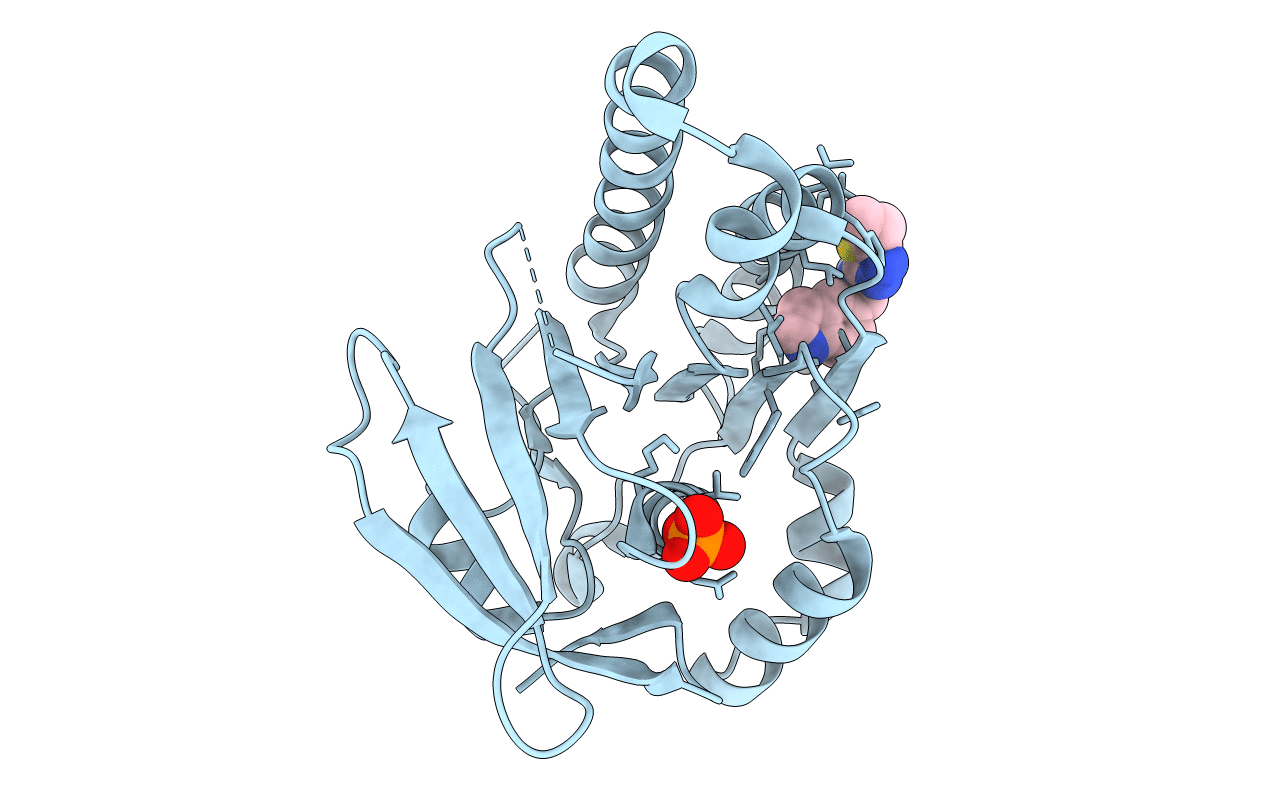 6XUF image