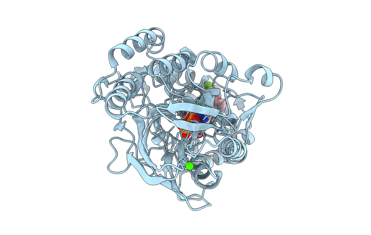 6XUQ image
